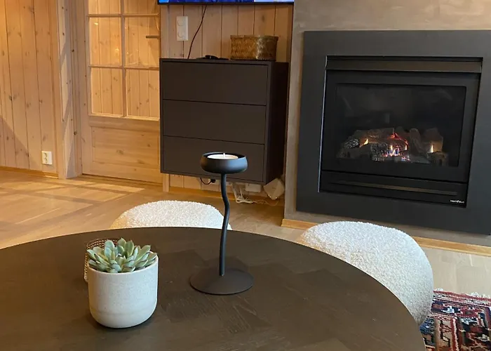 Ski-in & Ski-out In Apartment Oyer