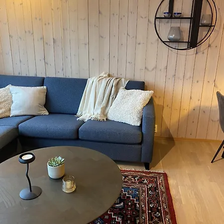 Apartamento Ski-in & Ski-out In Hafjell